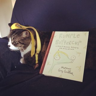 b4b5340f-eb2b-4750-b6e2-b3d19fc3d5db