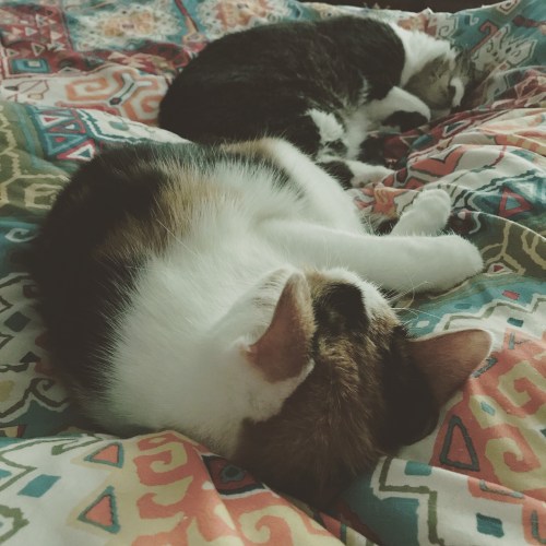 8e3b2799-38ca-497d-ac0d-e822276156a3